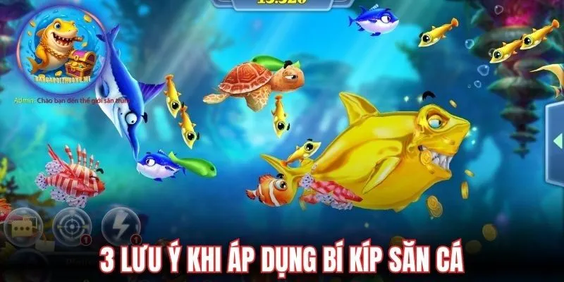 3 lưu ý khi áp dụng bí kíp săn cá