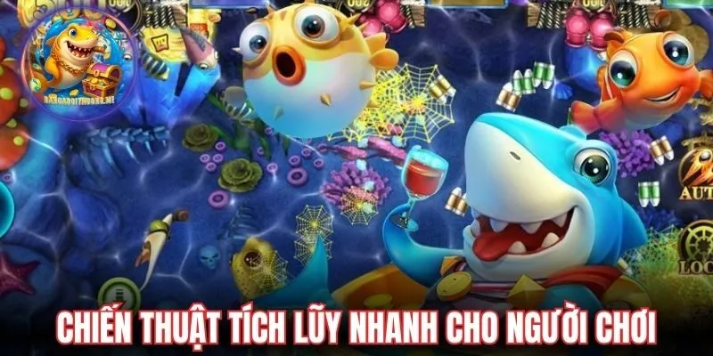 Chiến thuật tích lũy nhanh nhất cho người chơi