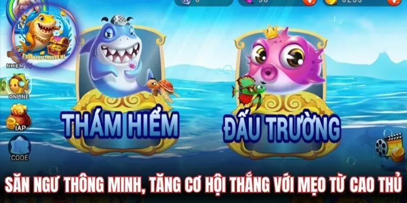 Săn ngư thông minh, tăng cơ hội thắng với mẹo từ cao thủ