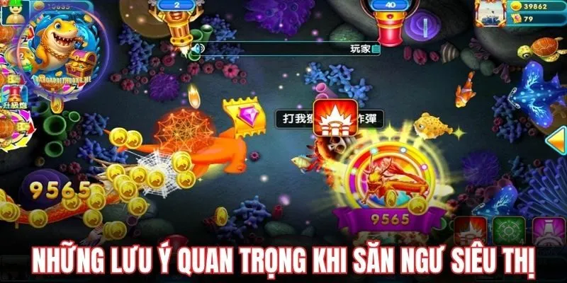Những lưu ý quan trọng khi săn ngư siêu thị